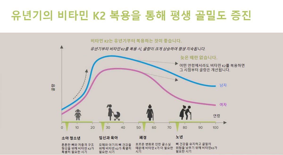 비타민k jak88