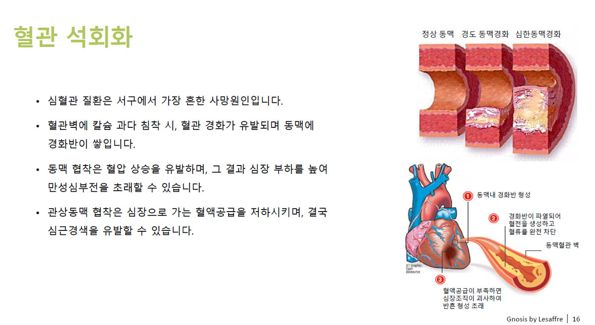 비타민k jak88