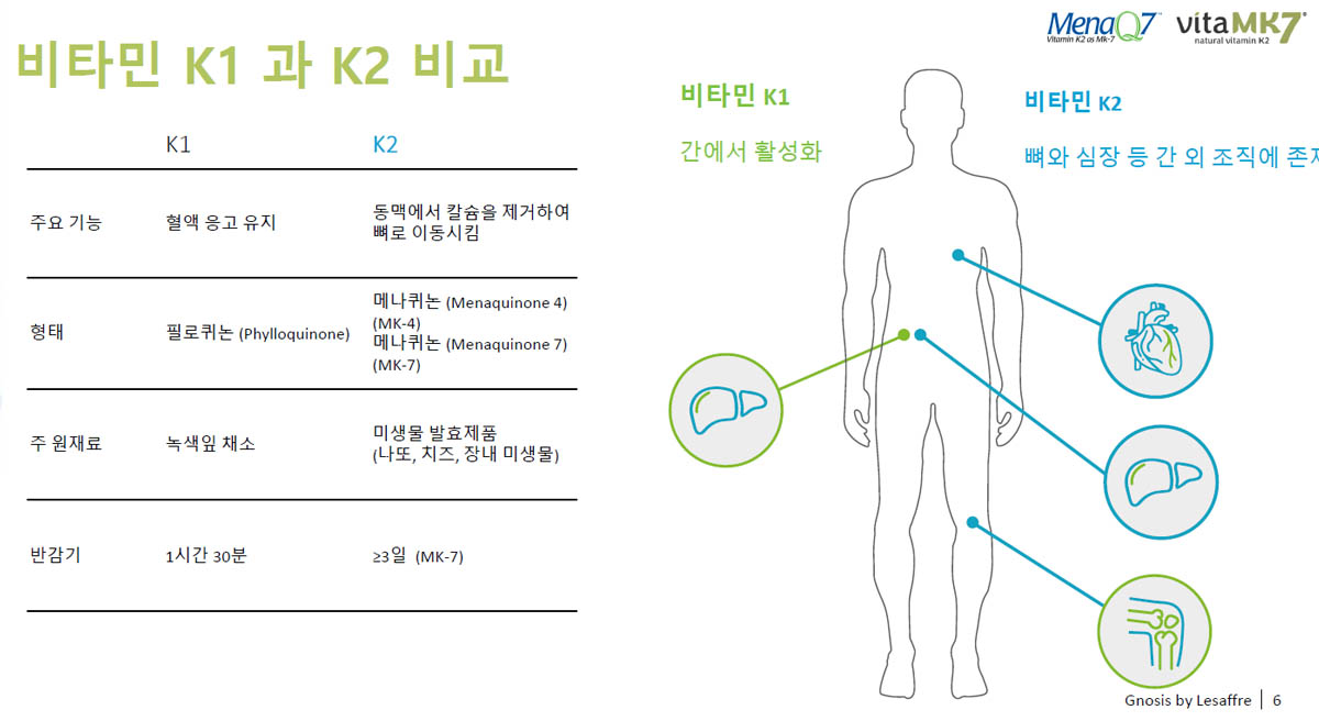 비타민k jak88